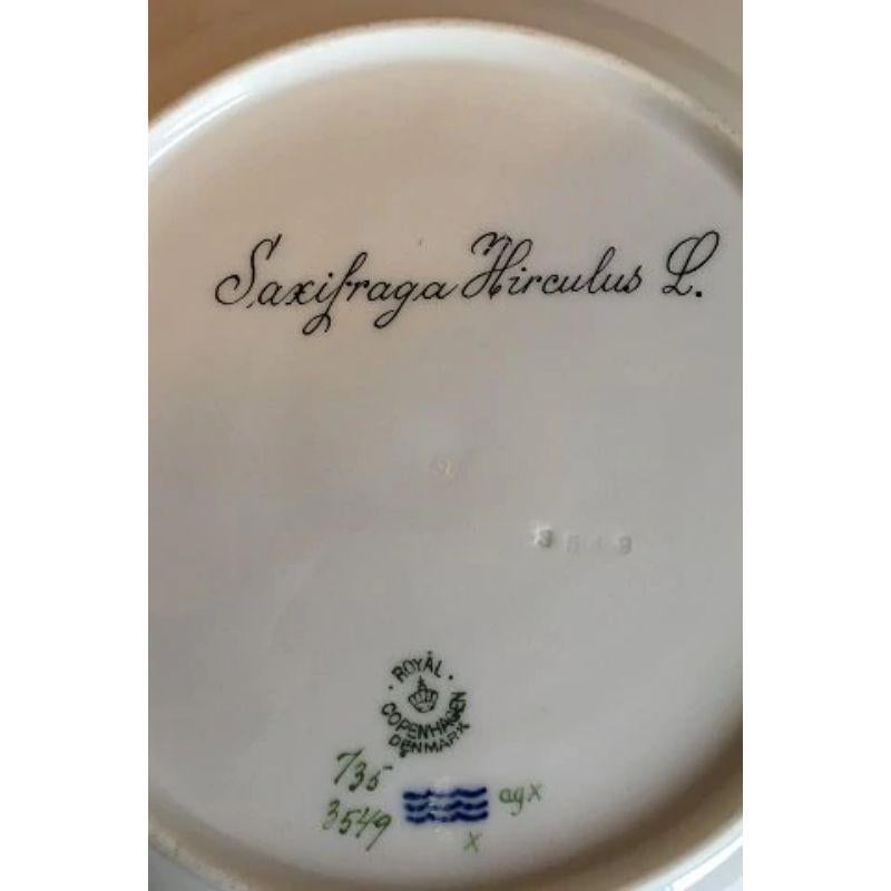 Royal Copenhagen Flora Danica dinner plate no 735/3549.

Latin name: Saxifraga Hirculus L.

Measures 25.5 cm / 10 3/64