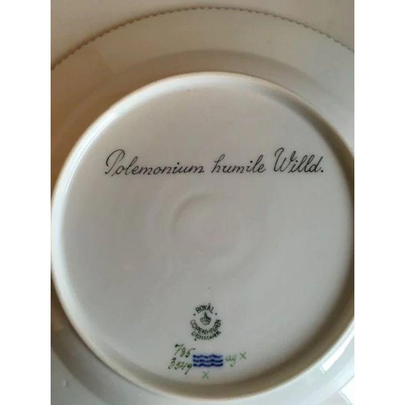 Royal Copenhagen Flora Danica dinner plate no 735/3549.

Latin name: Polemonium humile Willd.

Measures 25.5 cm / 10 3/64