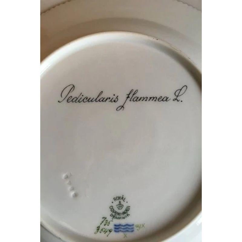 Royal Copenhagen Flora Danica dinner plate no 735/3549.

Latin name: Pedicularis flammea L.

Measures 25.5 cm / 10 3/64