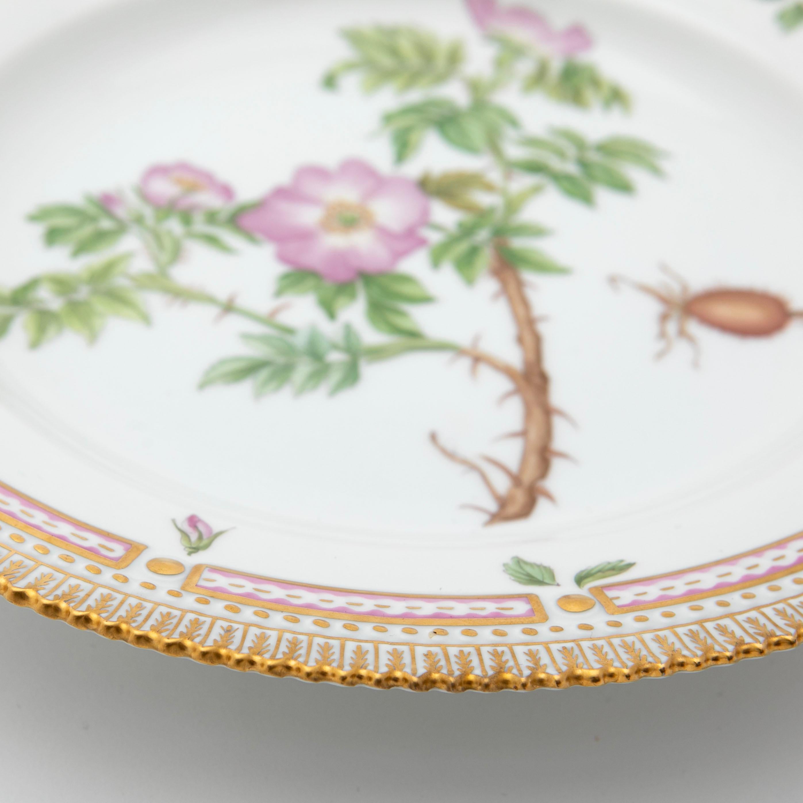 Other Royal Copenhagen Flora Danica Dinner Plate Rosa Suavifolia Lighf For Sale