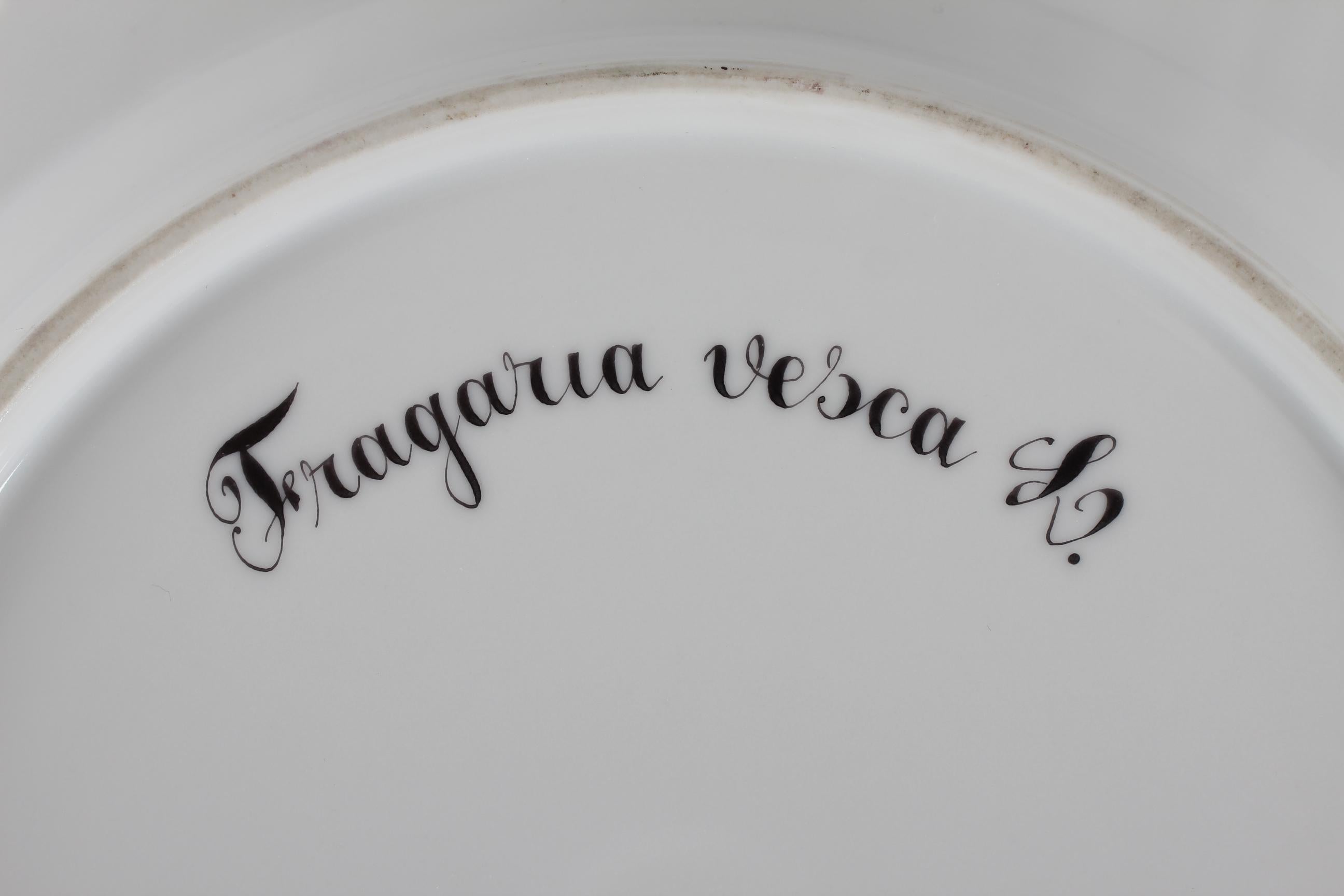 Hand-Painted Royal Copenhagen Flora Danica Dinner Plate with Pierced Border #3553
