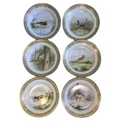 Royal Copenhagen Flora Danica/Fauna Danica Animal 12 Pc Lunch Plates No 240/3550