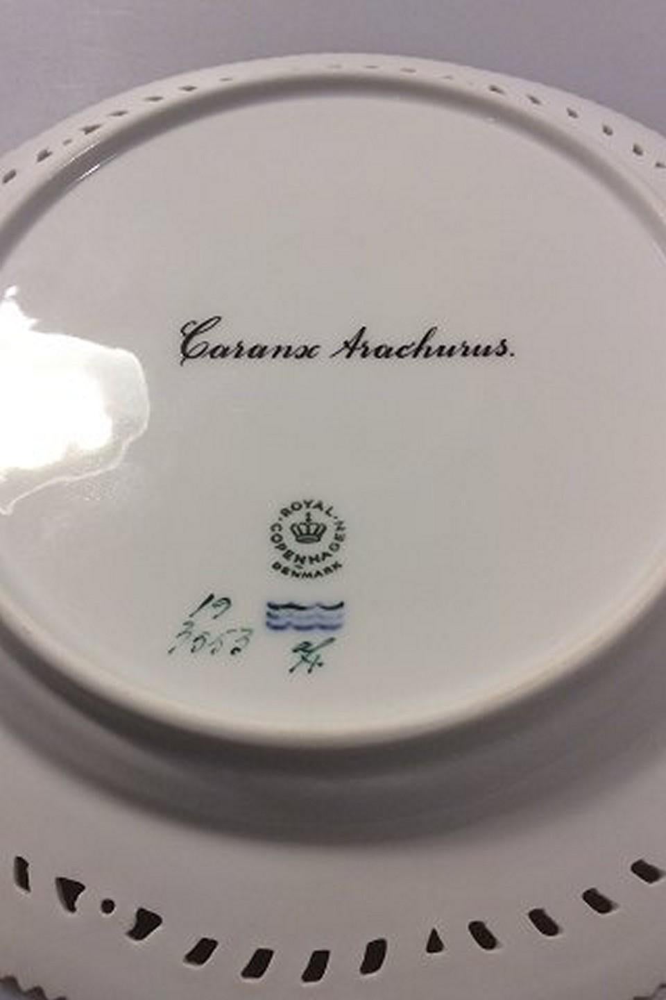 Royal Copenhagen Flora Danica Fish Plate #19/3553. Measures 25cm / 9 27/32