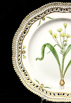 Royal Copenhagen Flora Danica, Gagea Lutea var. Glaucascens Lge., bordo dorato