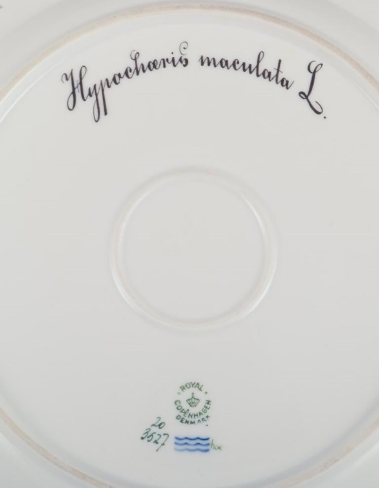 Flora Danica de Royal Copenhagen. Gran plato abierto de porcelana de encaje. en venta 1
