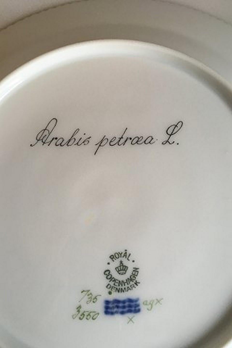 Royal Copenhagen Flora Danica lunch plate #735/3550.
Latin name: Arabis petraea L.
Measures 22 cm / 8 21/32
