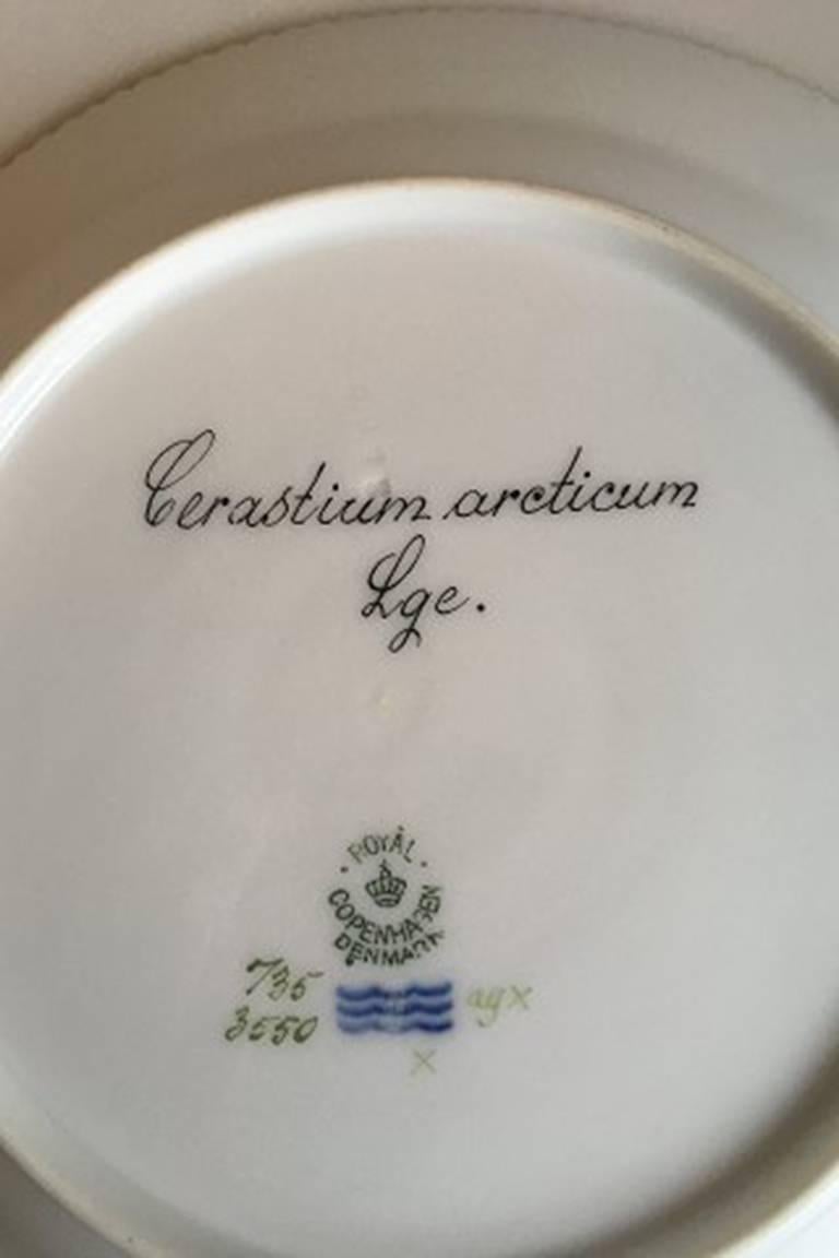 Royal Copenhagen Flora Danica lunch plate #735/3550.
Latin name: Cerastium arcticum Lge.
Measures 22 cm / 8 21/32 inches. 2nd quality.
