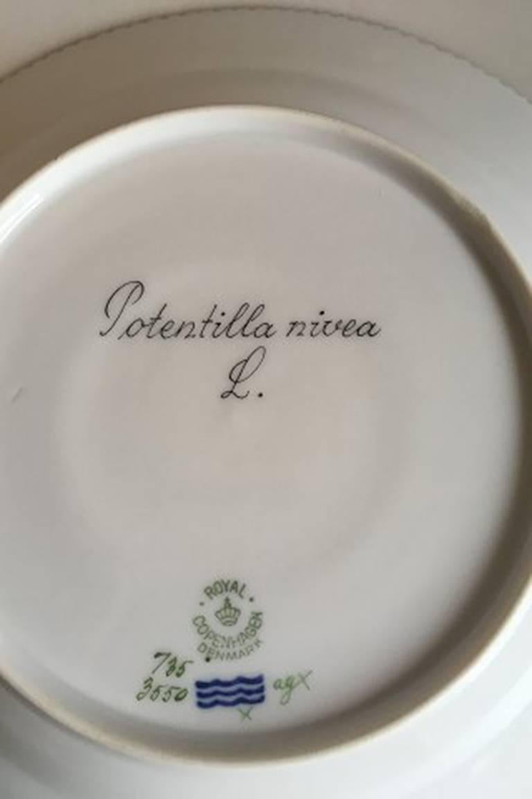 Royal Copenhagen Flora Danica lunch plate #735/3550. 
Latin name: Potentilla nivea L. 
Measures 22 cm / 8 21/32 inches. 2nd quality.