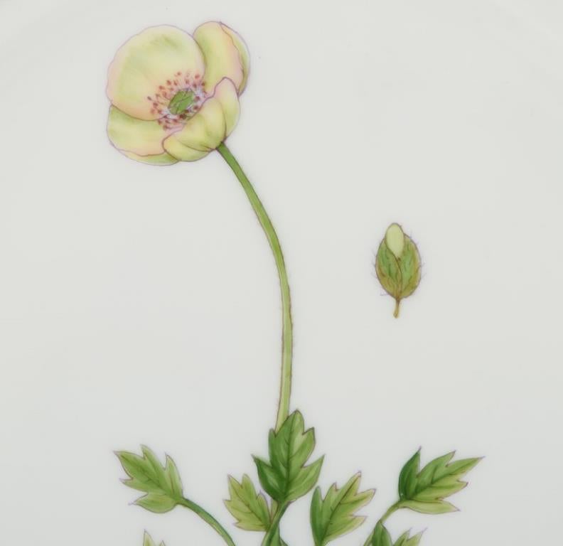 Danish Royal Copenhagen Flora Danica lunch plate in hand-painted porcelain with flowers For Sale