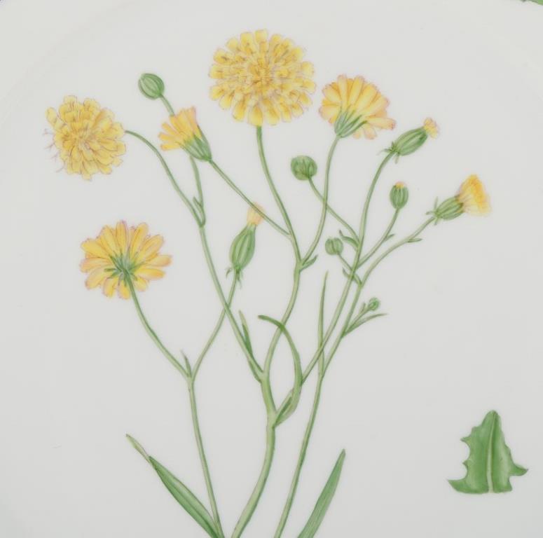 Danese Piatto da pranzo Royal Copenhagen Flora Danica in porcellana dipinta a mano con fiori in vendita