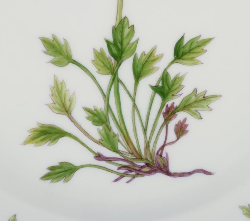 Hand-Painted Royal Copenhagen Flora Danica lunch plate in hand-painted porcelain with flowers For Sale