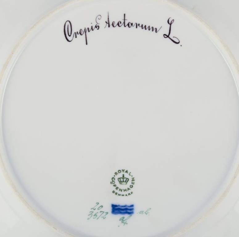 Metà XX secolo Piatto da pranzo Royal Copenhagen Flora Danica in porcellana dipinta a mano con fiori in vendita