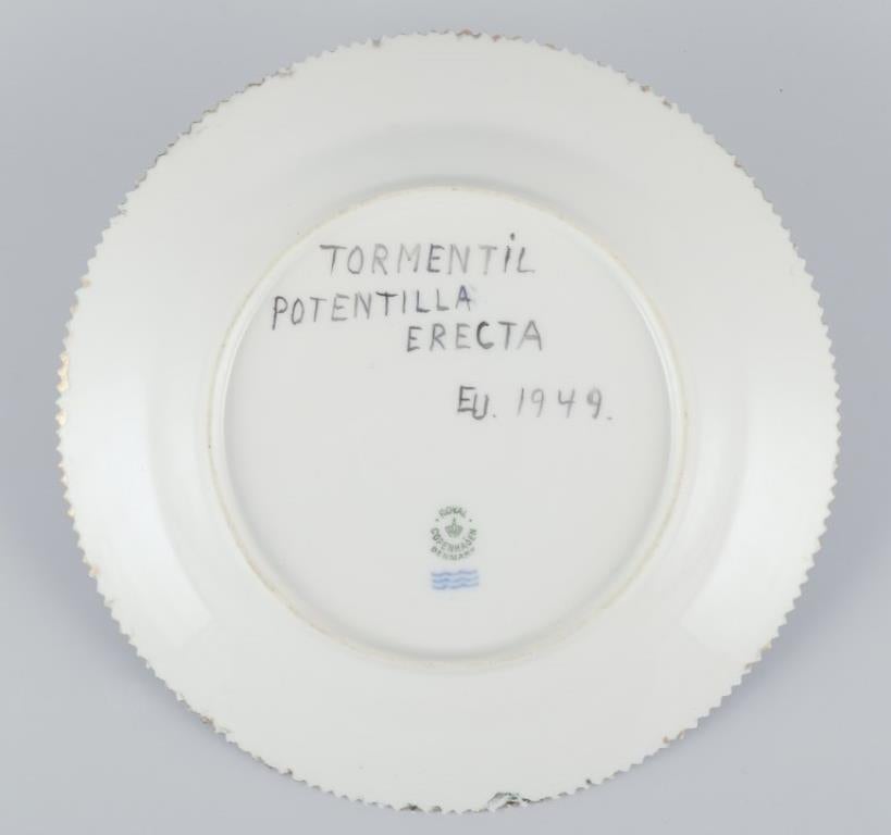 Royal Copenhagen. Plato de almuerzo Flora Danica de porcelana. Fechado en 1949 Danés en venta