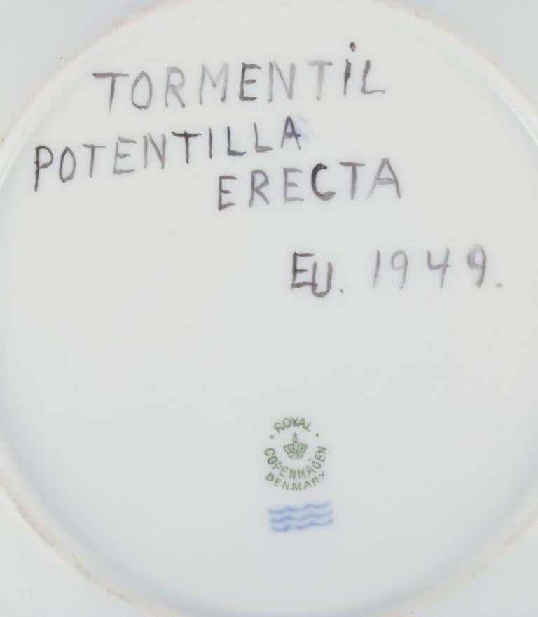 Royal Copenhagen. Plato de almuerzo Flora Danica de porcelana. Fechado en 1949 Pintado a mano en venta