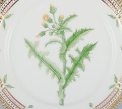 Royal Copenhagen Flora Danica lunch plate in porcelain with flowers