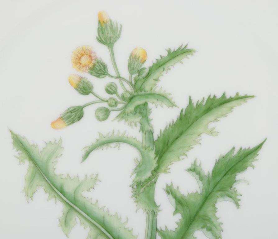 Plato de almuerzo Flora Danica de Royal Copenhagen en porcelana con flores Danés en venta