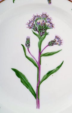 Royal Copenhagen Flora Danica Lunch Plate Number 20/3550