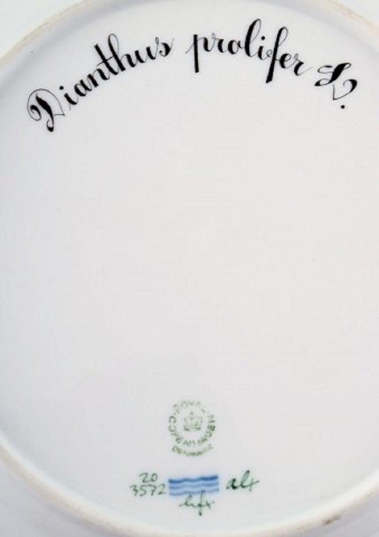 Neoclassical Royal Copenhagen Flora Danica Lunch Plate Number 20/3550