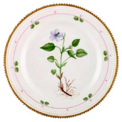 Royal Copenhagen Flora Danica Lunch Plate Number 20/3550