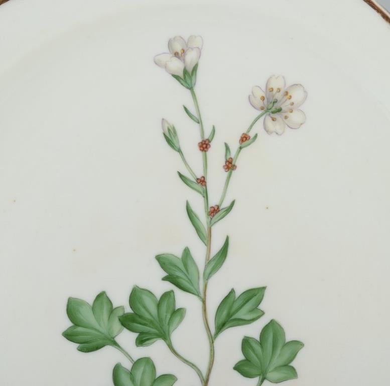 Plato de almuerzo calado Flora Danica de Royal Copenhagen, porcelana, ca. 1930 Danés en venta