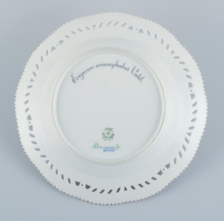 Royal Copenhagen, Flora Danica, Openwork Lunch Plate in Porcelain 2
