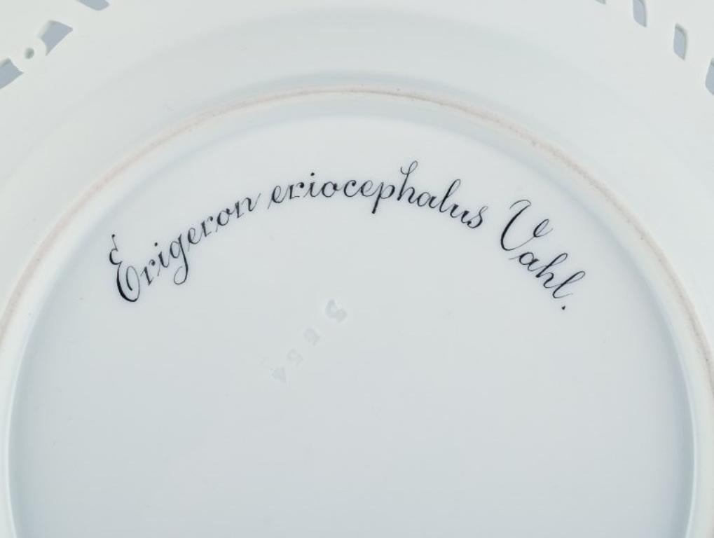 Royal Copenhagen, Flora Danica, Openwork Lunch Plate in Porcelain 3