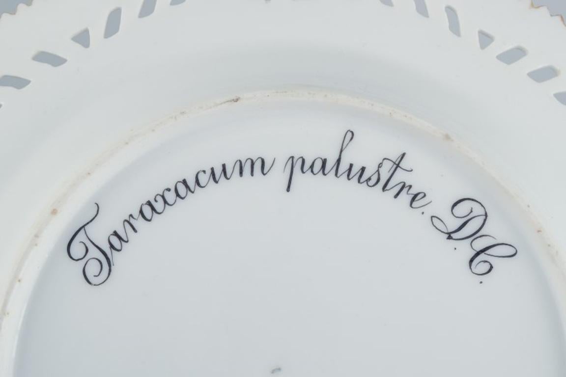 Porcelain Royal Copenhagen, Flora Danica, Openwork Lunch Plate with Dandelion For Sale