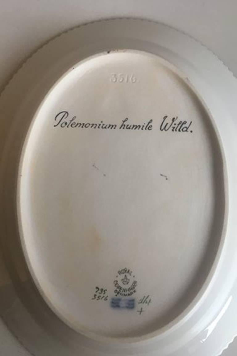 Royal Copenhagen Flora Danica oval serving tray #735/3516.
Latin name: Polemonium humle Willd.
Measures: 25 cm x 20 cm / 9 27/32 in x 7 7/8 inches. Second quality.