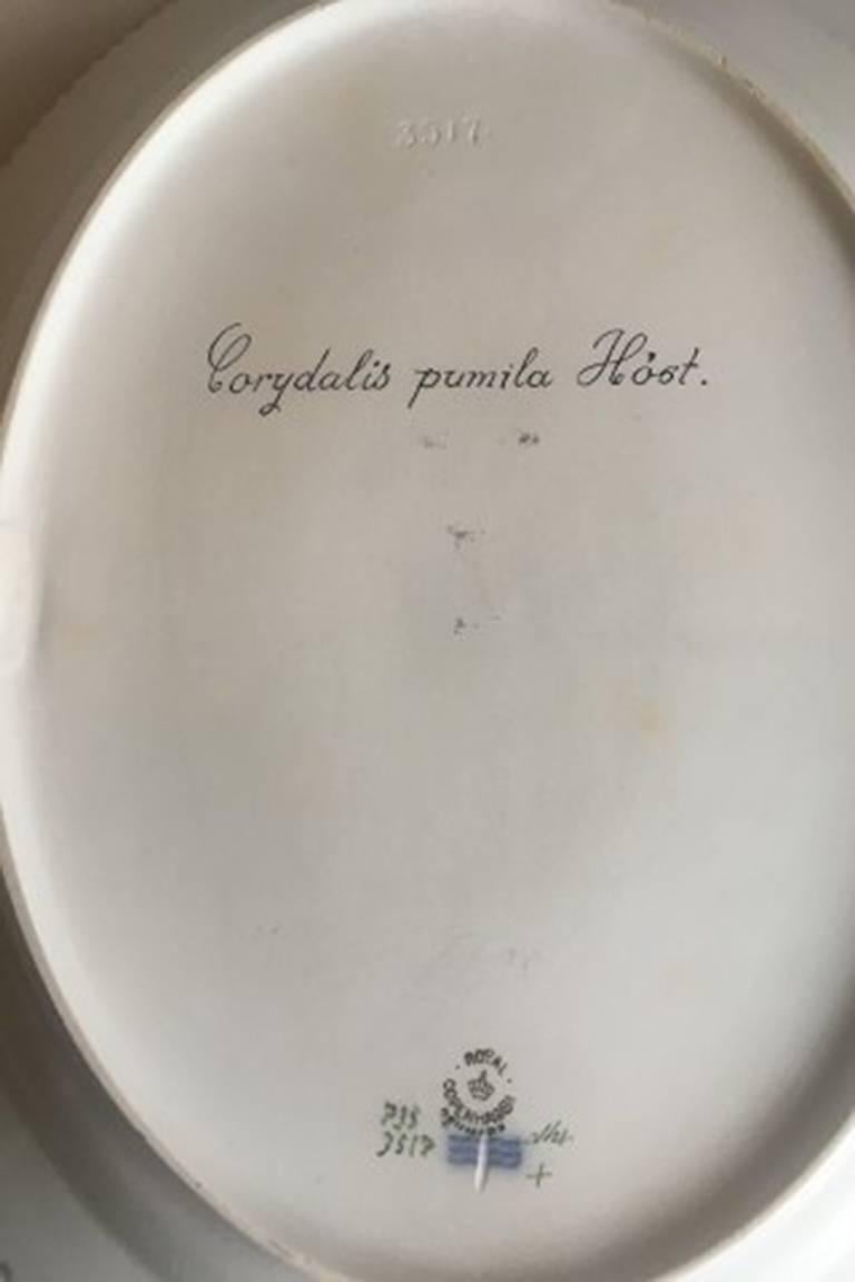 Royal Copenhagen Flora Danica oval serving tray #735/3517.
Latin name: Corydalis pumila Høst.
Measures 36 cm x 28.5 cm / 14 11/64 in x 11 7/32 in. 2nd quality.
