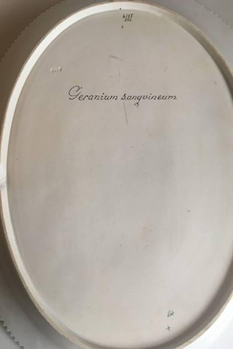Royal Copenhagen Flora Danica oval serving tray #735/3519.
Latin name: Geranium sangvineum.
Measures: 44.5 cm x 34.5 cm / 17 1/2 in x 14 inches. Second quality.