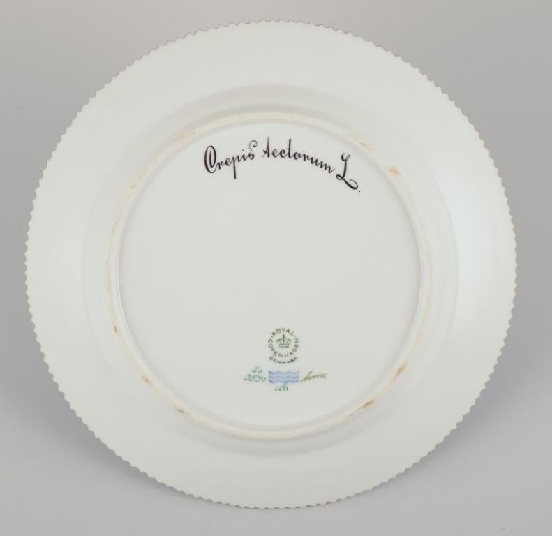 Mid-20th Century Royal Copenhagen Flora Danica lunch plate.  Hand-painted. Gold rim.  For Sale