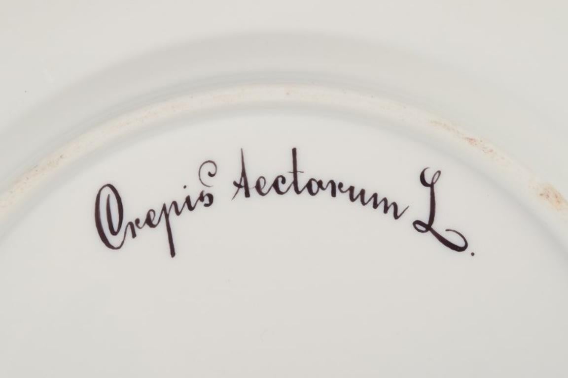 Porcelain Royal Copenhagen Flora Danica lunch plate.  Hand-painted. Gold rim.  For Sale