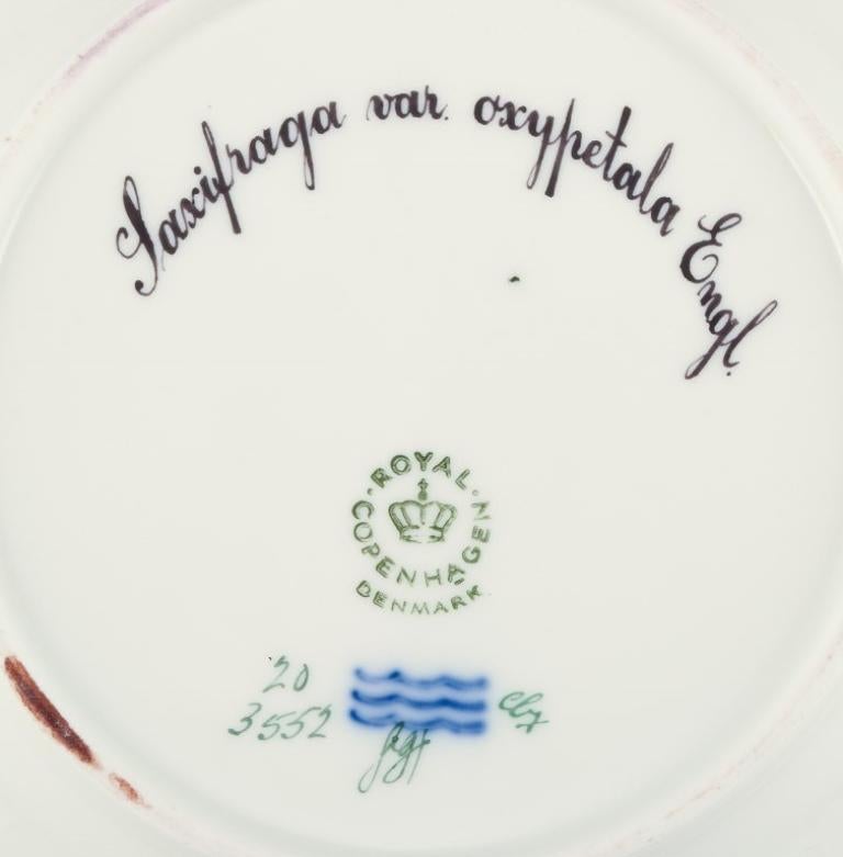 Mid-20th Century Royal Copenhagen Flora Danica plate. Hand-painted porcelain.