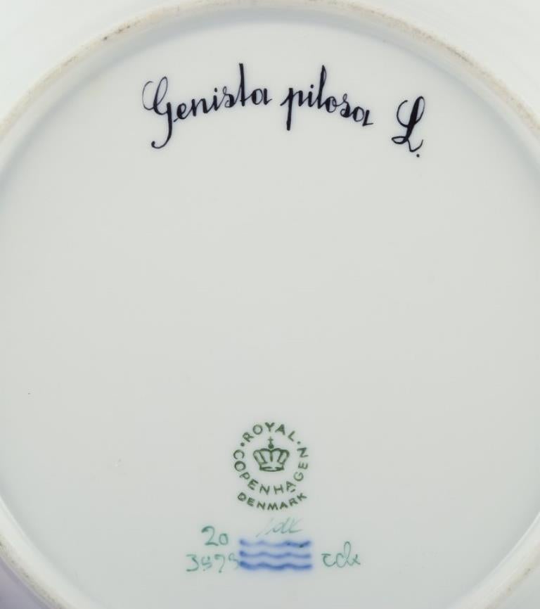 Plato Flora Danica de Royal Copenhagen de porcelana pintada a mano con flores. mediados del siglo XX en venta
