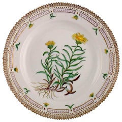 Royal Copenhagen Flora Danica Plate in Hand Painted Porcelain with Flowers