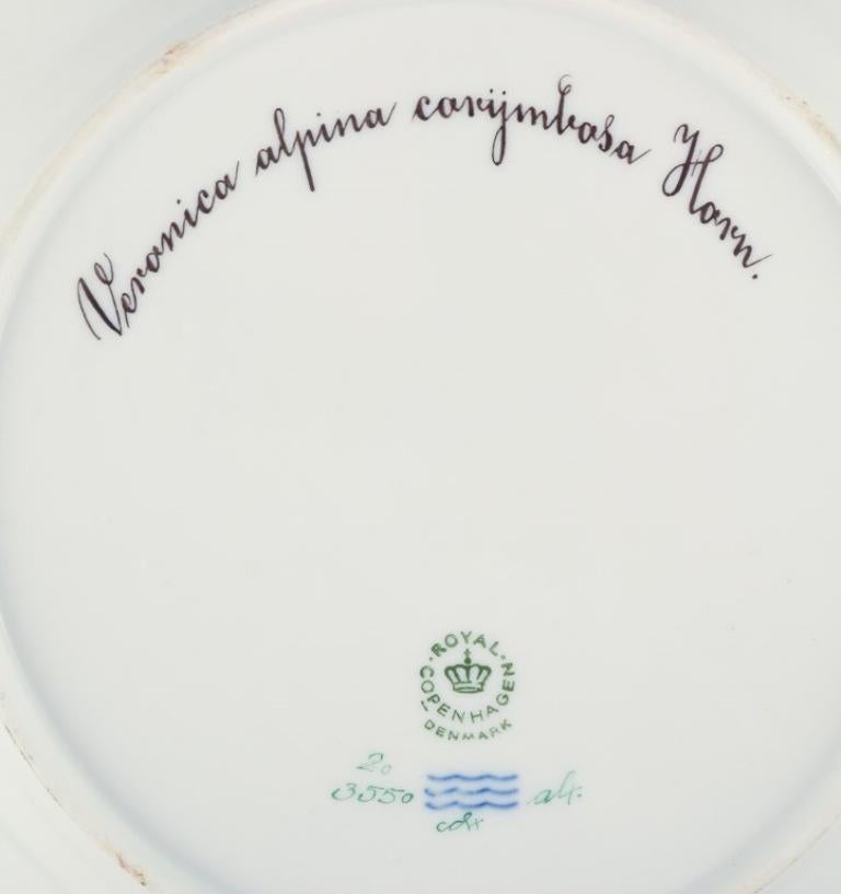Mid-20th Century Royal Copenhagen Flora Danica plate in porcelain. Hand-painted. 