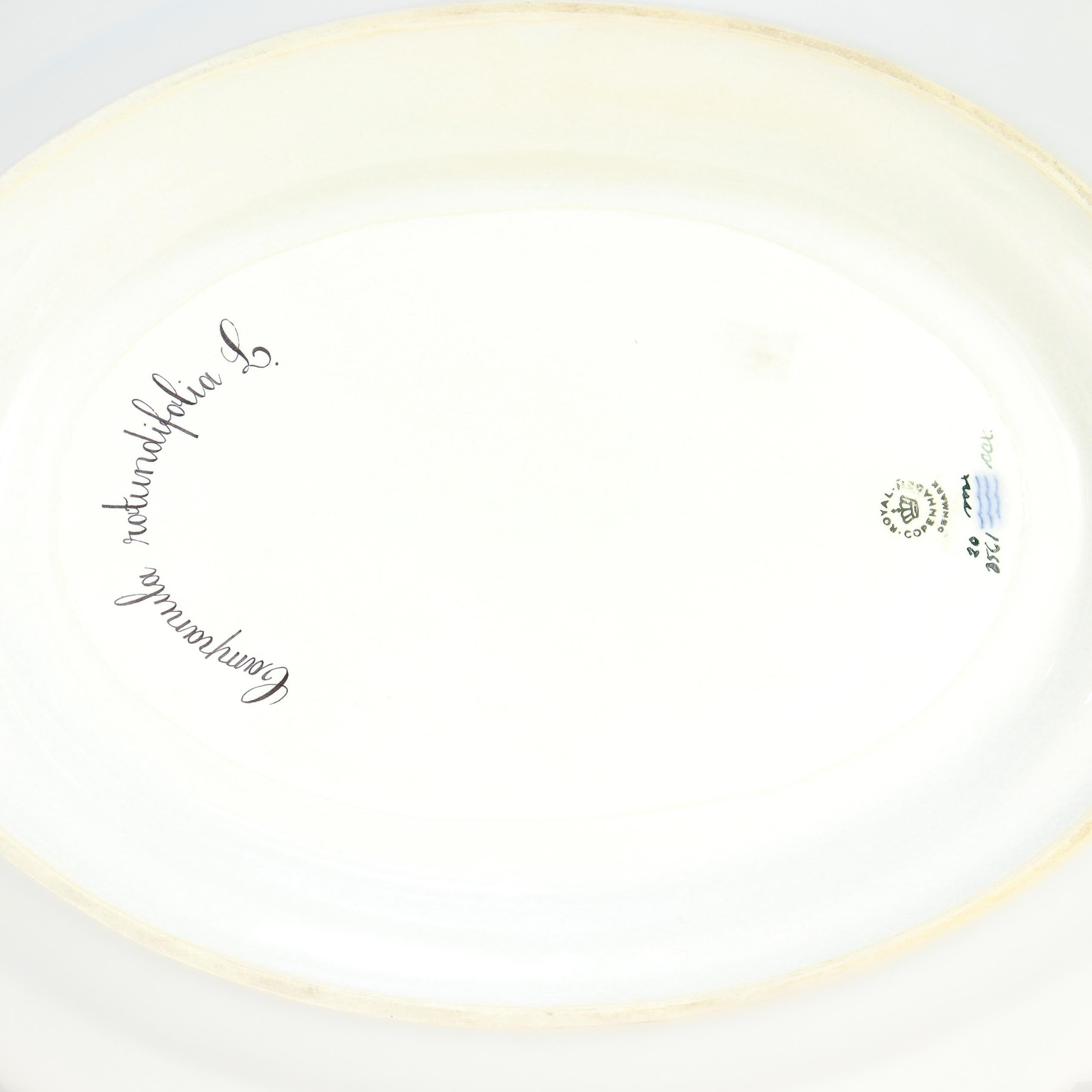 Royal Copenhagen 'Flora Danica' Porcelain 5 Qt. Large Tureen & Underplate no. 35 For Sale 8