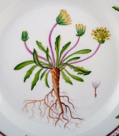 Royal Copenhagen Flora Danica Salad Plate # 20/3573