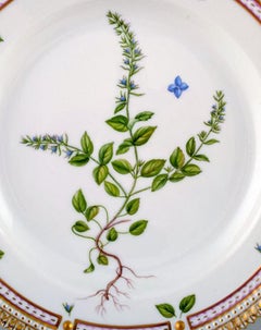 Royal Copenhagen Flora Danica Salad Plate # 20/3573