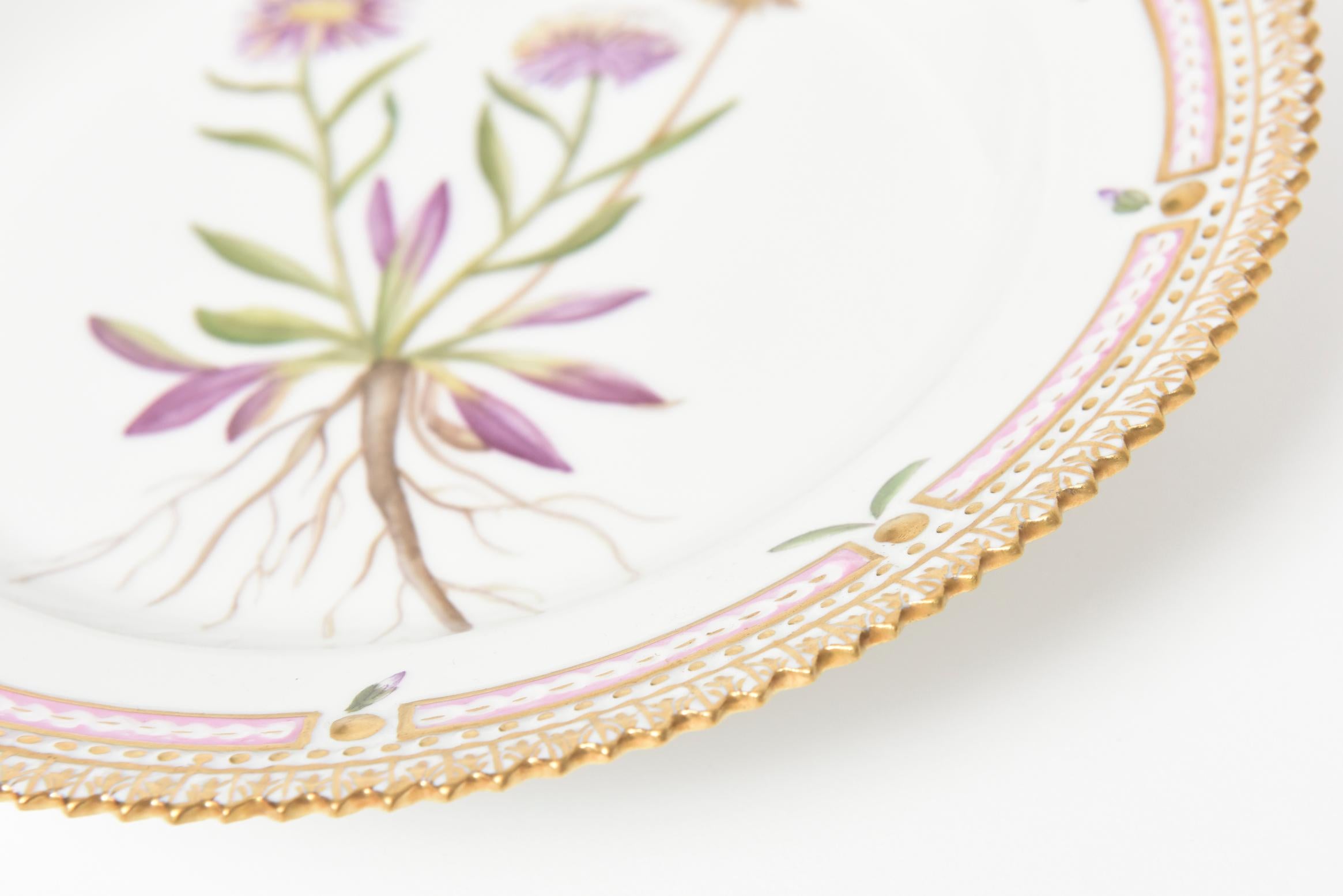 Hand-Painted Royal Copenhagen Flora Danica Salad Plate Eigeron eriocephalus J. Vahl #20/3573