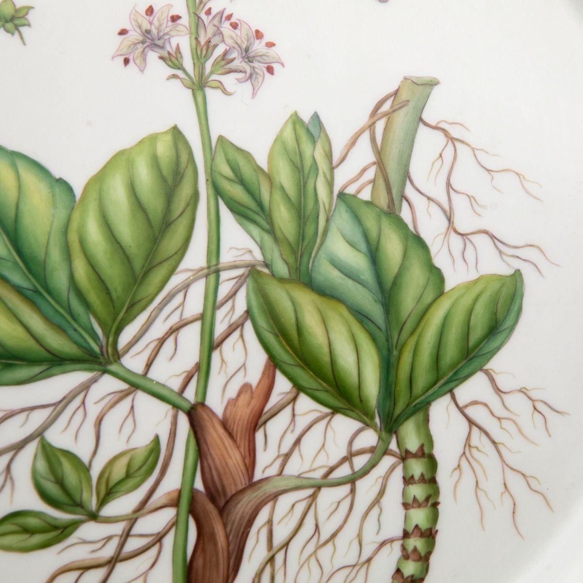 Royal Copenhagen Flora Danica Serving Platter with Menyanthes Trifoliata L., No. In Excellent Condition For Sale In Kastrup, DK