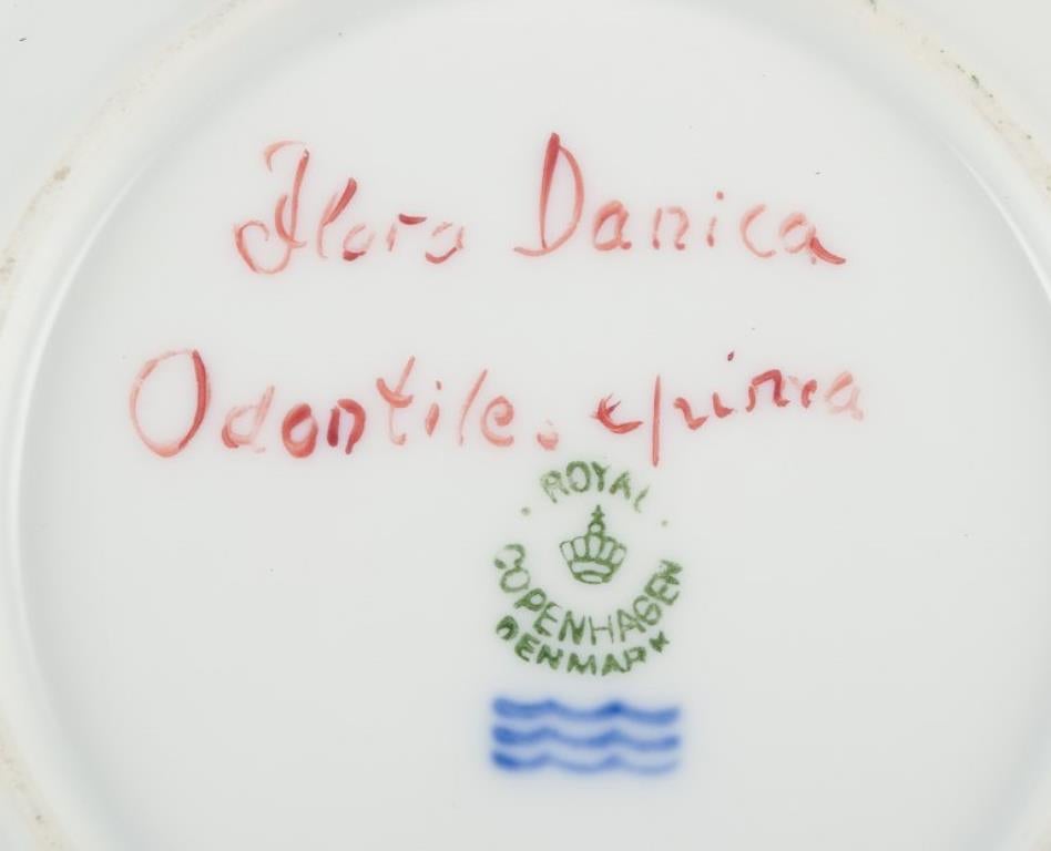 Hand-Painted Royal Copenhagen Flora Danica. Side plate in porcelain with flowers.