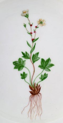 Royal Copenhagen Flora Danica Soup Plate