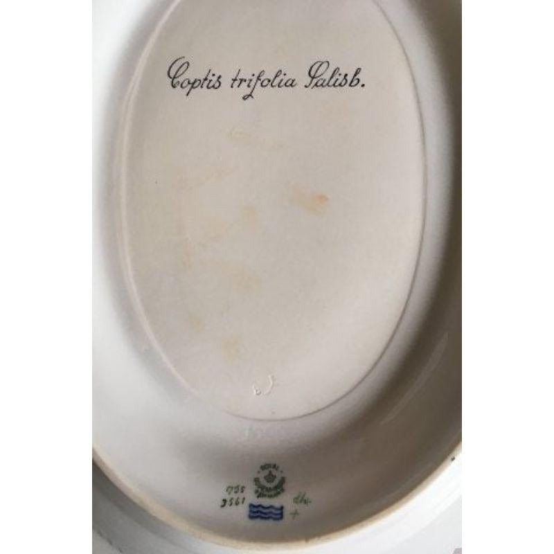 Porcelain Royal Copenhagen Flora Danica Tureen No 3559 with Underplate No 3561 For Sale