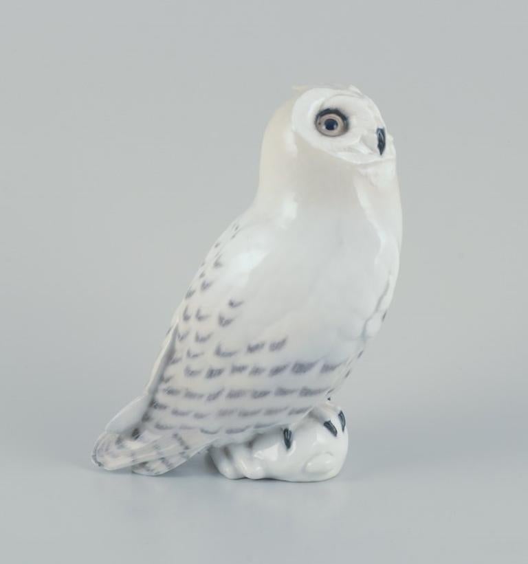 Royal Copenhagen. Large porcelain figurine of a white snowy owl.
Before 1900. Number 467.
Marked.
In perfect condition.
First factory quality.
Dimensions: Width 18.0 cm x Height 22.0 cm.