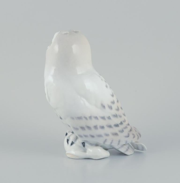 Danish Royal Copenhagen. Large porcelain figurine of a white snowy owl. Before 1900.  For Sale