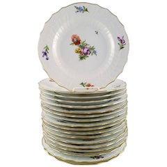 Royal Copenhagen Light Saxon Flower, 18 Dinner Plates