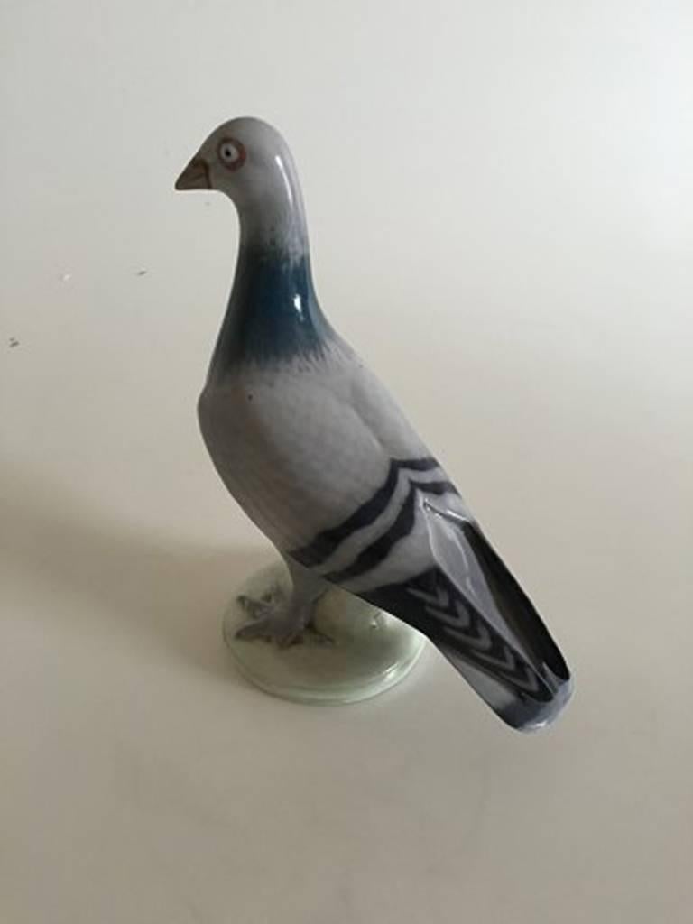 Royal Copenhagen pigeon figurine #2933/3510. Measures: 19 cm (7 31/6 in). In good condition.