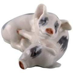 Royal Copenhagen Pigs, Number 683, Designed by Erik Nielsen