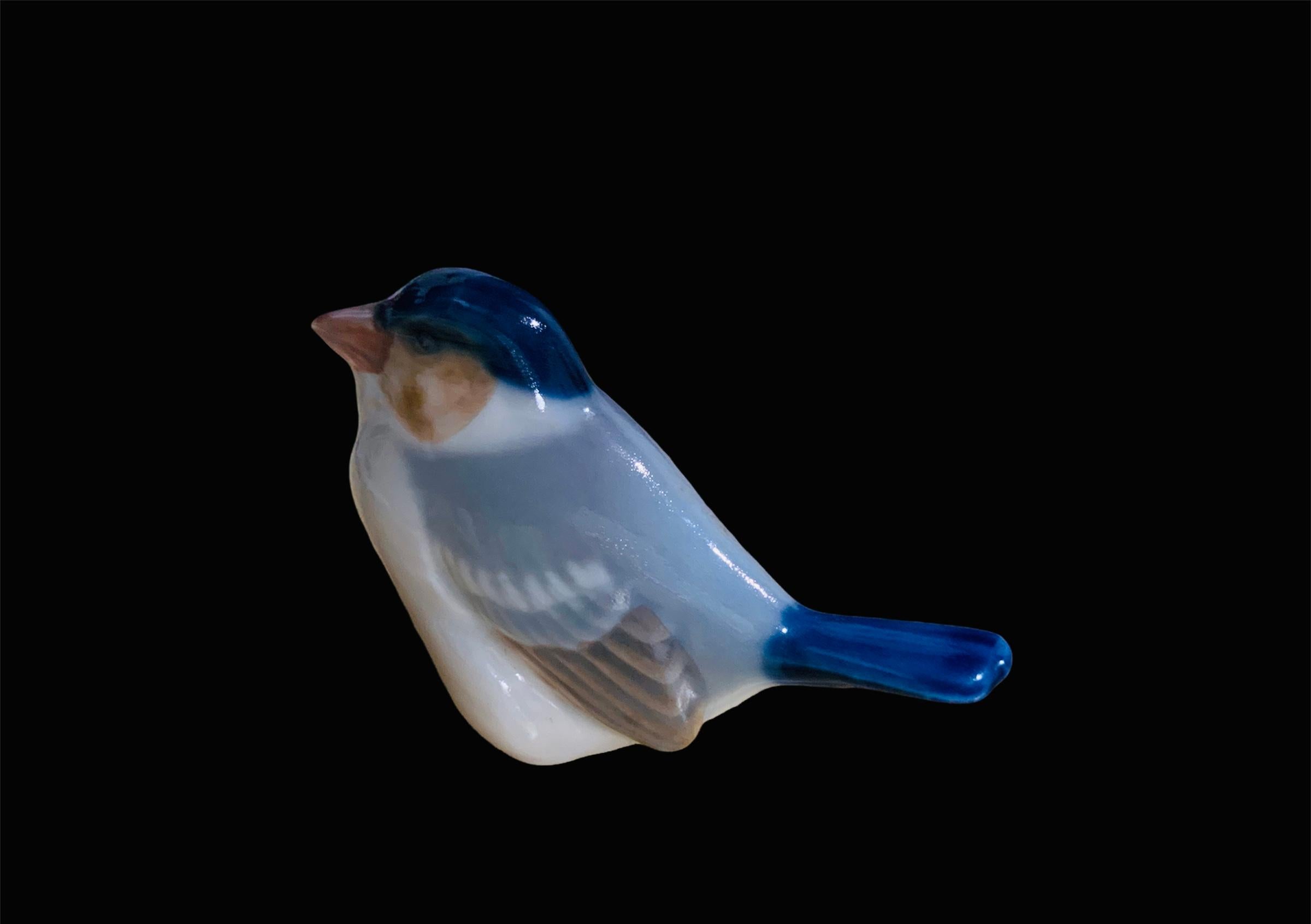 This is a Royal Copenhagen porcelain of small bird figurine known as a Finch. At the base is the Royal Copenhagen hallmark with the number-1040, and Denmark. It is hand painted white, blue, and grey. In Native American tradition, the finches are